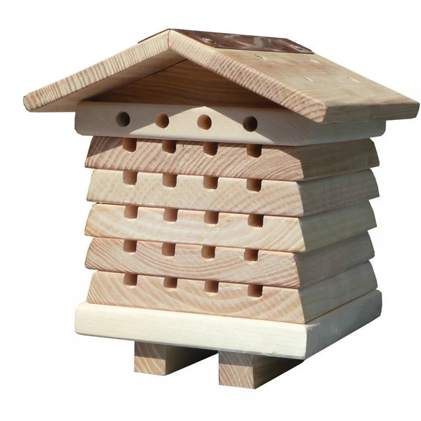 BeeTreasure