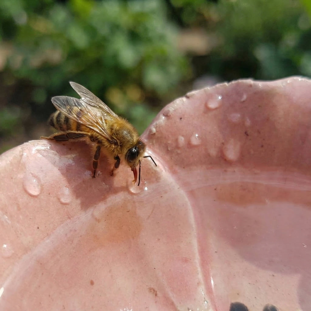 Bee Blossoms